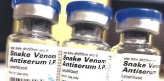 सांप-रोधी संदिग्ध नकली दवा की 1,080 शीशियां जब्त