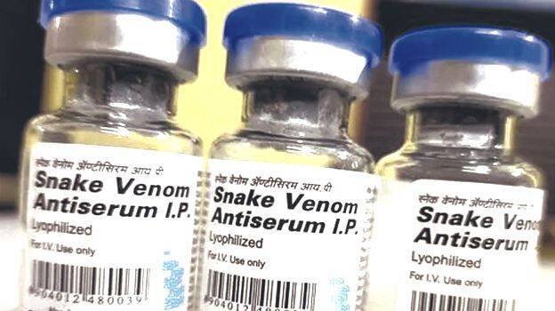 सांप-रोधी संदिग्ध नकली दवा की 1,080 शीशियां जब्त