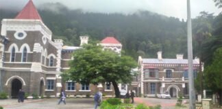 फार्मासिस्ट के नियमितीकरण मामले पर हाईकोर्ट सख्त