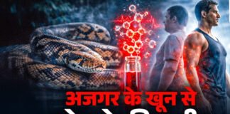 वेट लॉस की दवा बनाने में अजगर का खून कारगर
