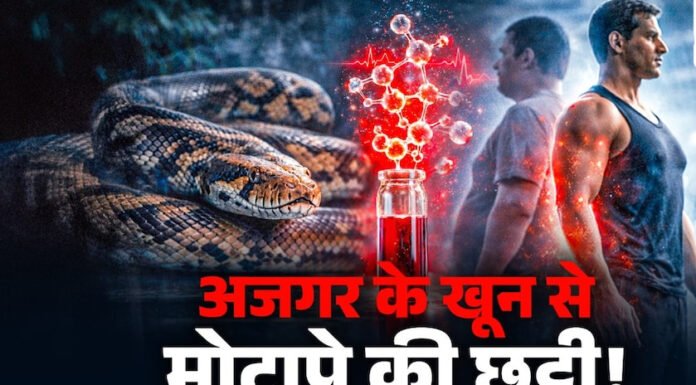 वेट लॉस की दवा बनाने में अजगर का खून कारगर