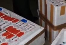 नकली Mounjaro इंजेक्शन का जखीरा जब्त, शुगर कम करने में आता है काम