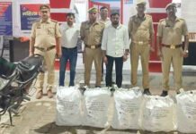 ऑक्सीटोसिन इंजेक्शन की खेप के साथ युवक गिरफ्तार