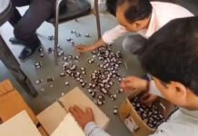 मेडिकल स्टोर पर रेड कर प्रतिबंधित सिरप-इंजेक्शन बरामद