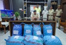 फेंसिडिल सिरप की आटो से तस्करी पकड़ी, एक गिरफ्तार