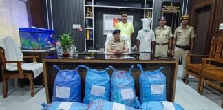 फेंसिडिल सिरप की आटो से तस्करी पकड़ी, एक गिरफ्तार
