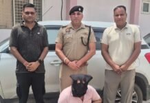 मेडिकल स्टोर पर अवैध रूप से रखी दवाइयां जब्त