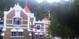 आयुर्वेदिक फार्मासिस्ट की पुनर्नियुक्ति पर हाईकोर्ट का बड़ा फैसला