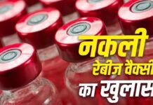 दवा बाजार में रेड कर नकली रेबीज वैक्सीन की 481 यूनिट जब्त