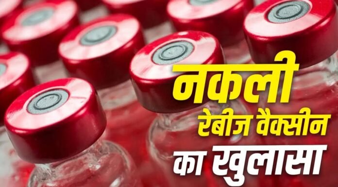 दवा बाजार में रेड कर नकली रेबीज वैक्सीन की 481 यूनिट जब्त
