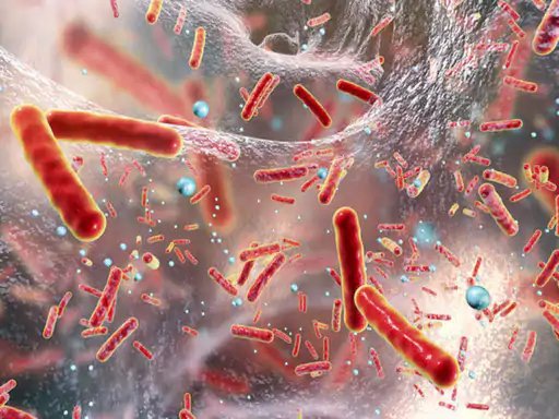 antibiotics