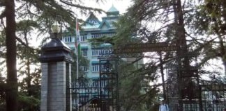 नकली दवा रैकेट पर हाईकोर्ट सख्त, सरकार को थमाया नोटिस