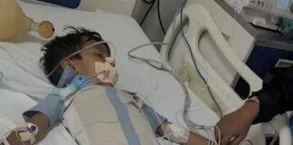 सांप के काटने पर एंटी रैबीज इंजेक्शन लगाया, फार्मासिस्ट सस्पेंड